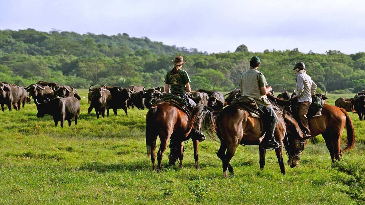 Argentina Travel Guide and Information