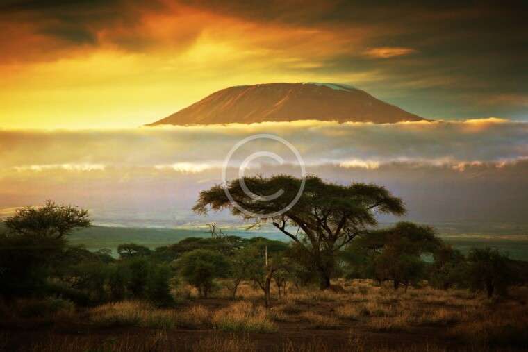 8 Places to Visit in Zanzibar for Families