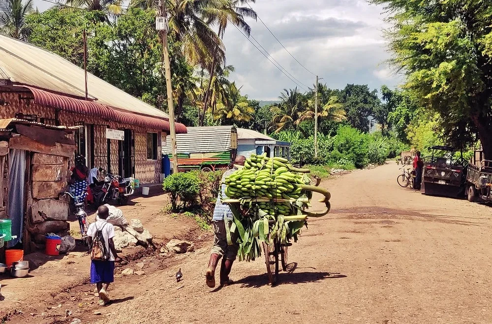 Machu Picchu What You Should Know